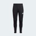 Adidas TIRO25C TR PNT Siyah Eşofman Altı