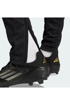 Adidas SQ25 TR PNT Eşofman Altı