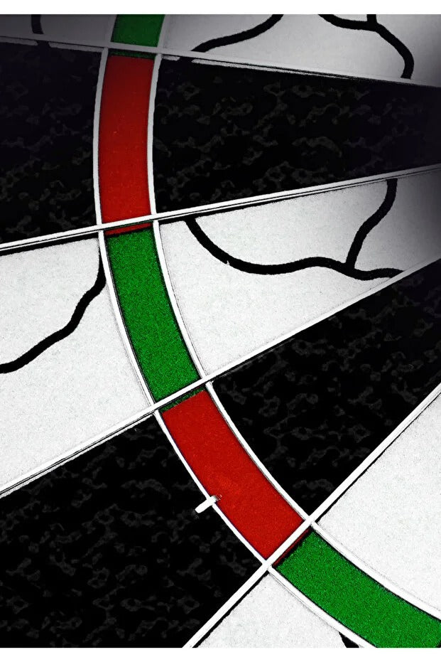Can Sport BSR-52 Profesyonel Dart Tahtası